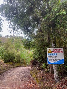 Read more about the article Day 6-7 From Miranda – Matamata – Waikato River Trail to Mangakino