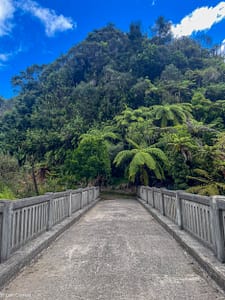 Read more about the article Day 10. The Bridge to Nowhere and a Jet Boat to Taumarunui