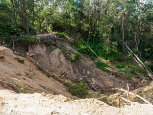 Read more about the article Caboolture to Wamuran Rail Trail – Where did the road go?